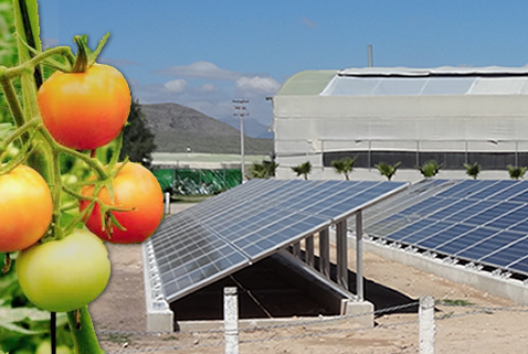 Sistema Fotovoltaico de Interconexión a la Red en Invernadero